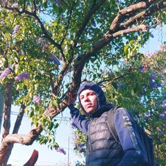 Drzewa mi mówią że (w stałym kontakcie z przyrodą)