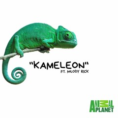 Kameleon Ft. Młody Rick