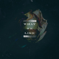 What We Like (ft. Aoyoru)