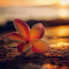 VAI KO LATAI (TAUSILI)🌺