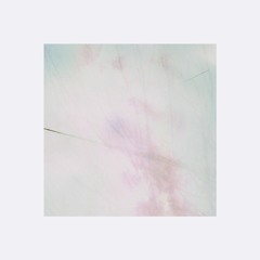 Absent Impressions