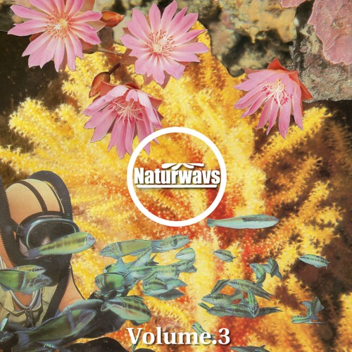 Calo (Naturwavs. Vol.3)