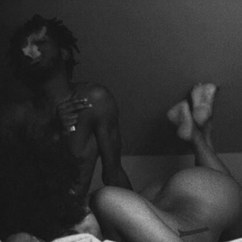 pnd - persian rugs edit [Supported by Complexion]