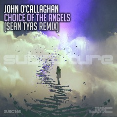 John O'Callaghan - Choice of the Angels (Sean Tyas Remix) - Preview