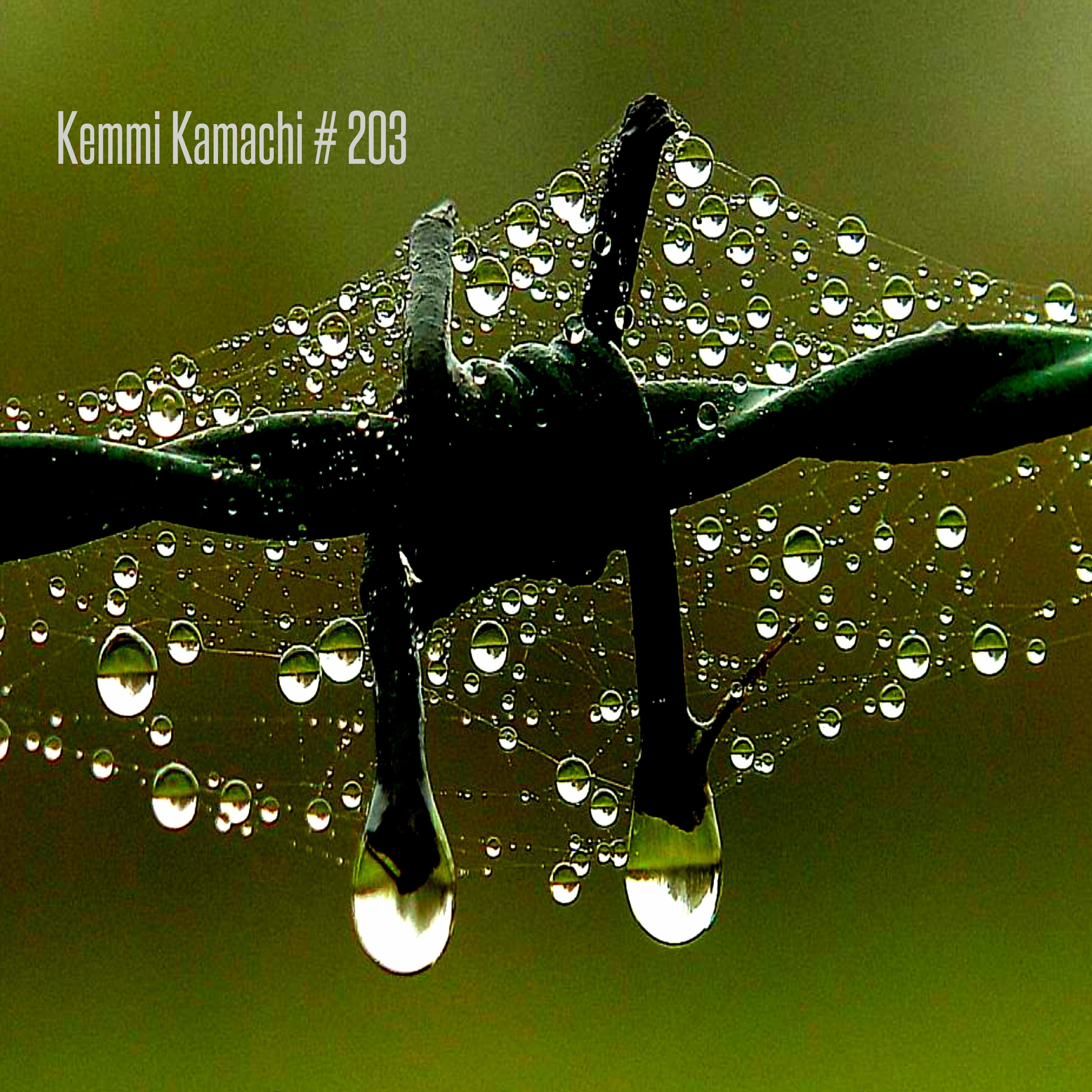 Kemmi Kamachi