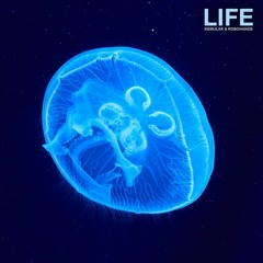 Remulak & Robohands - Life