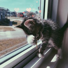 On My Mind - Danae (prod. by Talamak)