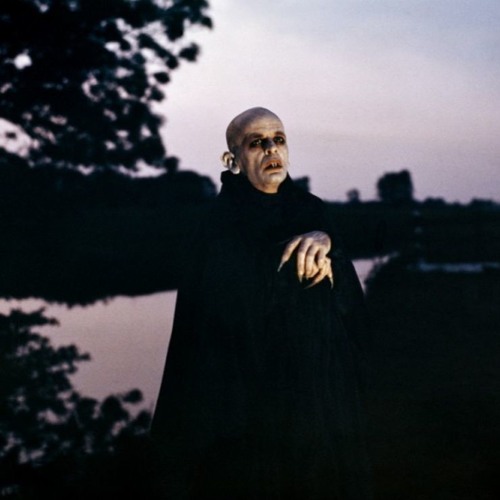 Stream Вампирология / Conspirology by Radiotayga Homesongduet | Listen ...