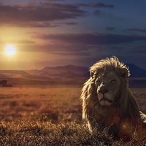 CAPTIVITY feat. Eli & Uriah