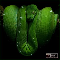 Snake (prod. Atdenn)