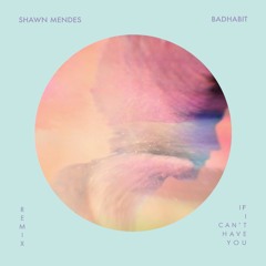 Shawn Mendes - If I Can't Have You (badhabit Remix) [Extended]
