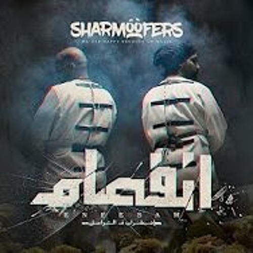 Sharmoofers - Relationship - 2019 - شارموفرز - ريلاشن - شيب