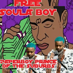 Free Soulja Boy - Paperboy Prince of the Suburbs