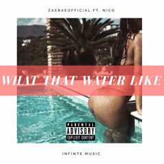 What That Water Like (Feat. NICO)