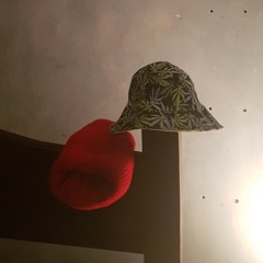 FIORE (FT. GINGKO BALBOA)