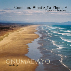 Come on, What'z Ya Phone # (GNUMADAYO Mashup)