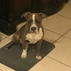 $HMOTTER (prod. Andre $anti)