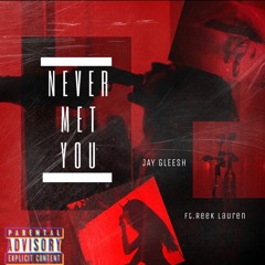 Jay Gleesh - Never Met You (ft. Reek Lauren)