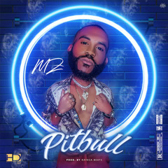 Pitbull (Prod. by kayasa beats)