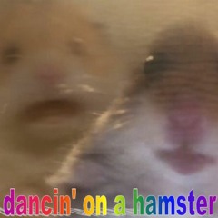 dancin' on a hamster