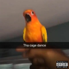 Icyamir, Yung Skrrt // The Dog Cage Song