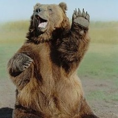 Variation on a Grizzly Bear - Ready Able cover / redux