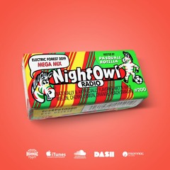 Night Owl Radio 200 ft. Electric Forest 2019 Mega-Mix