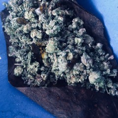 on the daily -prod- G-Lo$