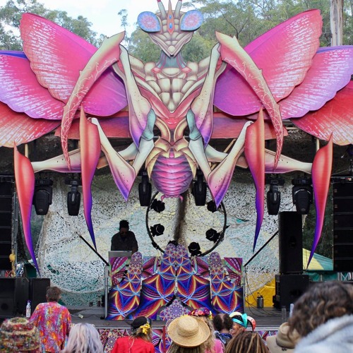Logman N Pstump Live @ Psyland 2019
