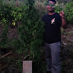 Ia mwo ia cover/ jipeno mwo & Tenema apaj kikkio 😊