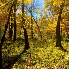 holes in aviary nets