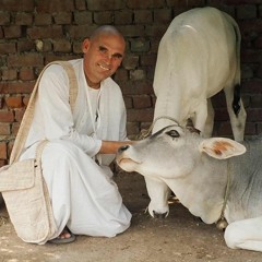 Atmarama Das, Bhajan, Vrindadevi Astaka