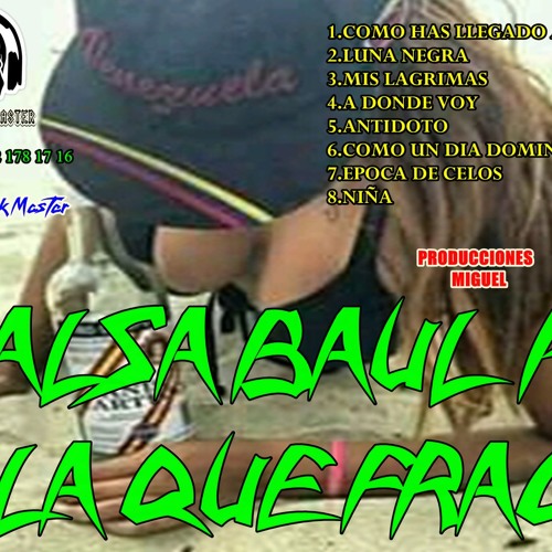 SALSA BAUL  PA LA QUE FRAO