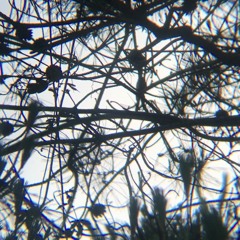 Do You Remember The Island Where We Make The Music?