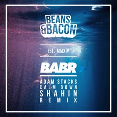 Adam Stacks - Calm Down (Shahin Remix)