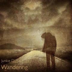 Junkie Digital - Wandering