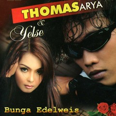 Thomas Arya - Bunga Edelweis [NoX2 L3 Remix]