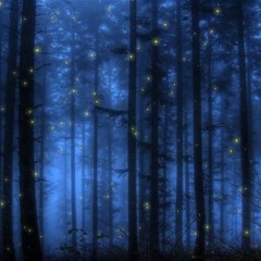 La il course après soi même dans les bois en chantant les paroles dans la description