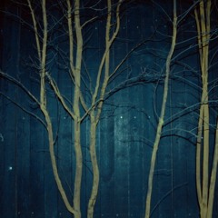 Lítli mín (feat. Telma Pil)