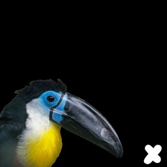 Rheda Andrews - Love Doctor(Original MIx)