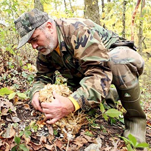 Stream episode Morel Mania All About Morels by CulinaryHistory podcast