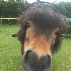 5. Nationalité Et Langue