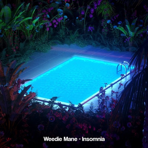 Weedie Mane - Insomnia.