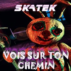 Luca Skatek_VOIS SUR TON CHEMIN