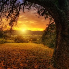 The Dragons Folk-When You Down