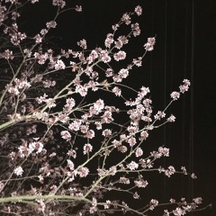 坠落-Jellorio 李佳隆