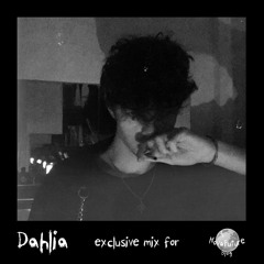 Dahlia - NovaFuture Blog Mix June 2019