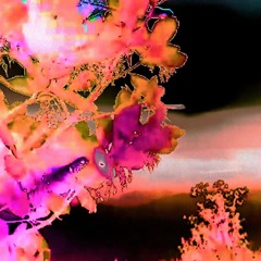 lil noth x solomonblake - monitor (prod. solomonblake)