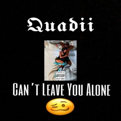 Can't Leave You Alone