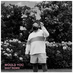 Pink $weats - Would You (Sant Remix)